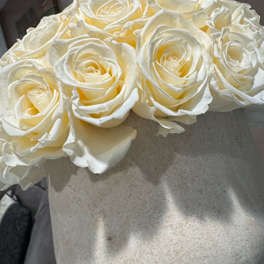 Venus Et Fleur Elegant Cream Rose Arrangement NEW